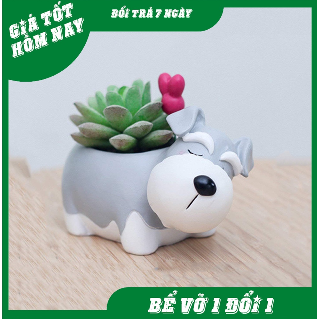 Chậu trồng cây Chó Miniature Schnauzer ngủ say