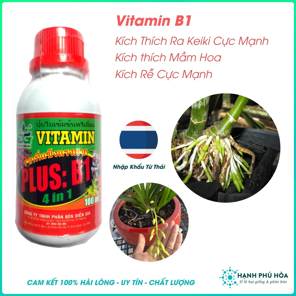 Vitamin B1 Thái Lan Điền Gia 100g/Chai