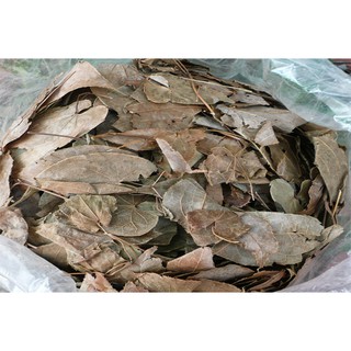 LÁ DÂM DƯƠNG HOẮC 500g