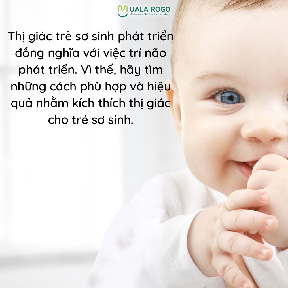 Bộ hình tăng thị giác Flash Card cho bé sơ sinh Ualarogo luyện mắt và giác quan trẻ màu đen trắng