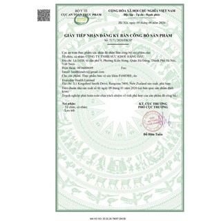 TRÀ THẢO MỘC HỒNG SÂM HỦY MỠ