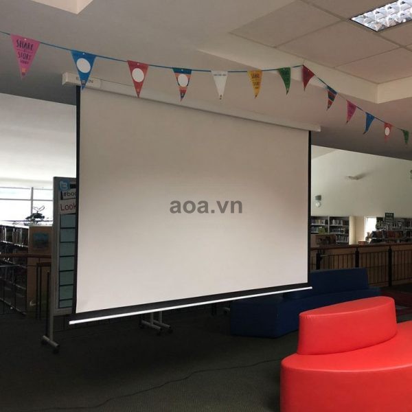 Màn chiếu treo tường EXZEN