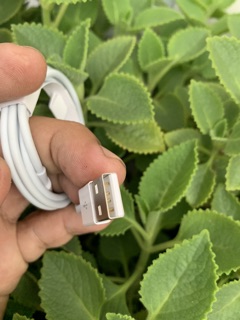 Bộ sạc cáp zin máy iphone 11 chuẩn apple