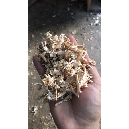Mùn Cưa / Gỗ Bào Dùng Để Trồng Cây, Trang Trí, Nuôi Nhím