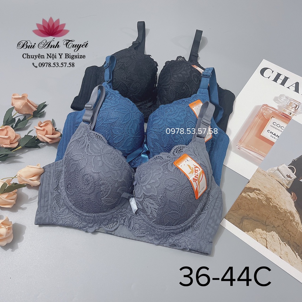 Áo ngực bigsize Thái Lan C571 dành cho chị em ngực to - mỡ nách - mỡ lưng