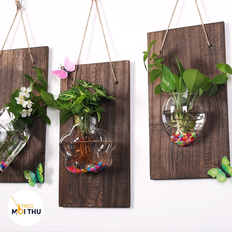 Bình Thủy Tinh Trồng Cây Thủy Sinh Treo Tường - Siêu nhẹ - Tặng kèm bảng gỗ, móc treo - VASE02