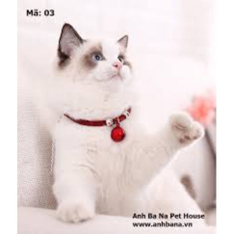 ( Siêu Rẻ)Dây đeo cổ Mèo có chuông phong cách Nhật- xích cổ có chuông giá rẻ