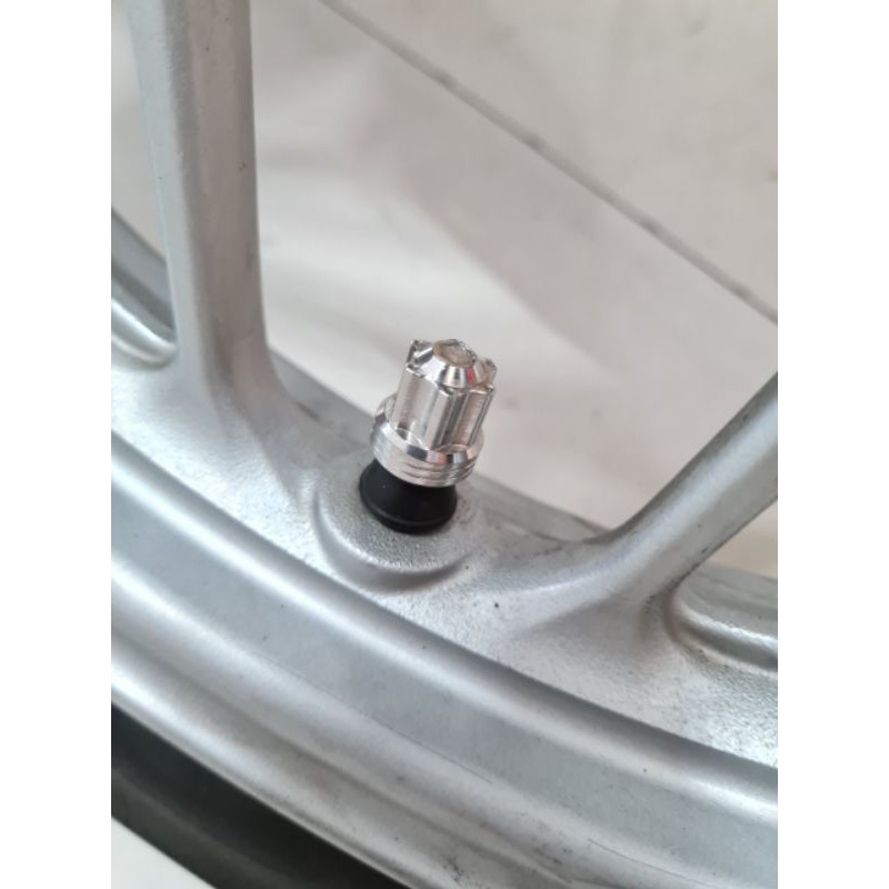 Nắp van bánh xe inox 304 không gỉ gắn nhiều loại xe . sss/ cái