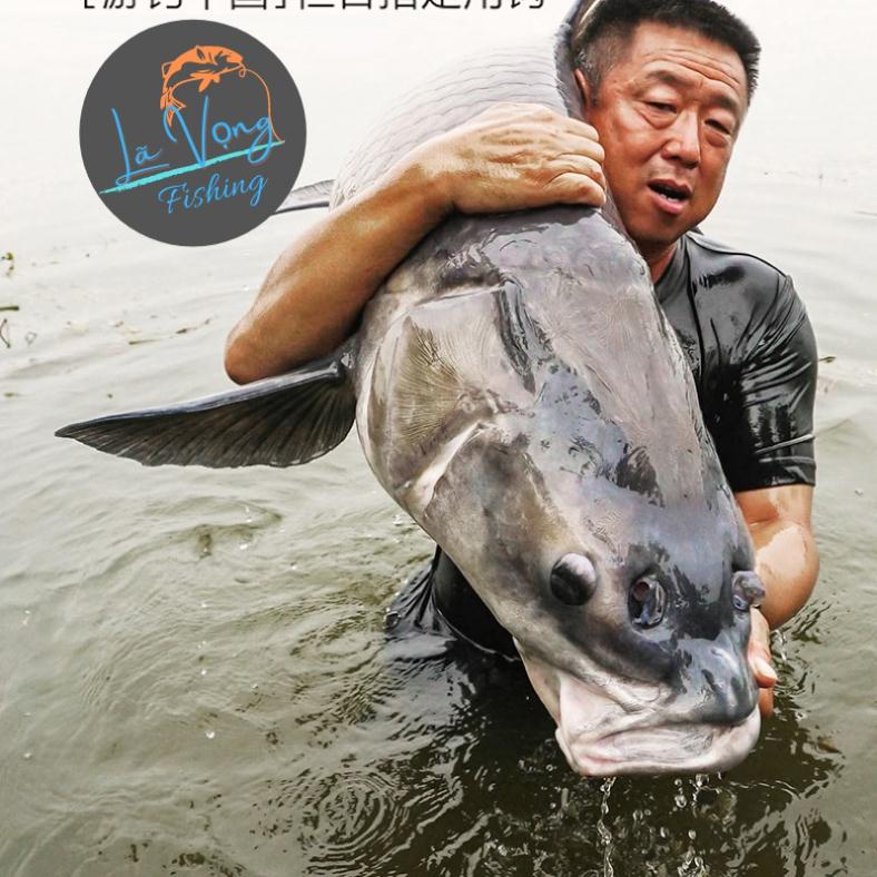 Lưỡi câu săng hàng FISH PERSON- Power Blue - Lã Vọng Fishing