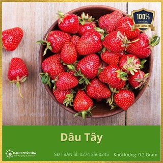 Hạt Giống Dâu Tây TN131 552Hạt/Gói - Giống Sinh Trưởng Rất Mạnh, Năng Suất Cao, Trồng Quanh Năm, Ăn Ngon Ngọt