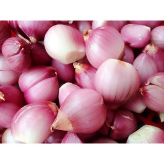 Hành khô phi sẵn