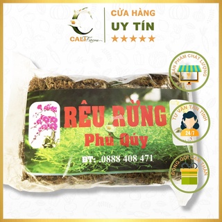 Rêu Rừng Phú Quý Trồng Lan 100gram đã qua xử lý