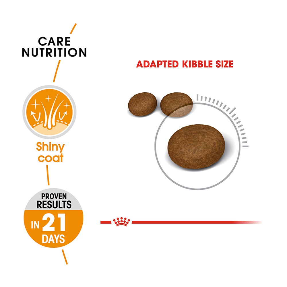 400g Hạt dưỡng lông Royal Canin Hair &amp; Skin dưỡng da lông khỏe mạnh mèo trưởng thành hiệu quả sau 21 ngày