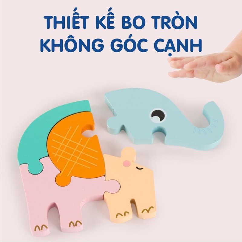 Bộ Ghép Hình Gỗ Cao Cấp