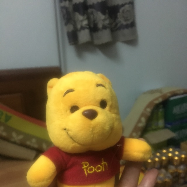 Gấu vân vân