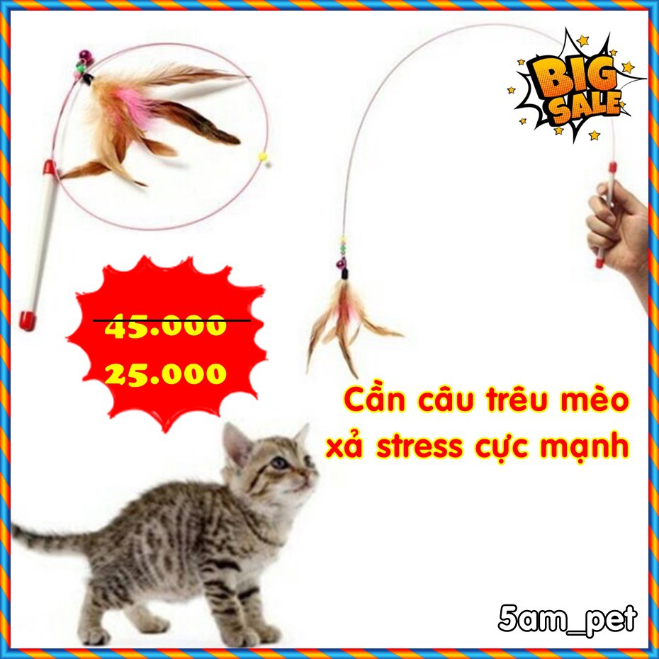 Cần câu mèo dây thép lông vũ có chuông chiều dài 86cm giá rẻ chỉ có tại 5am_store