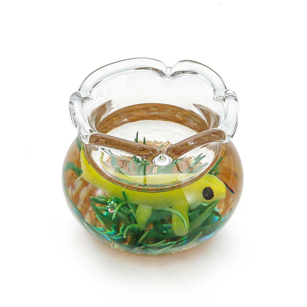 Bể Cá Mini Bằng Kính Màu Cầu Vồng