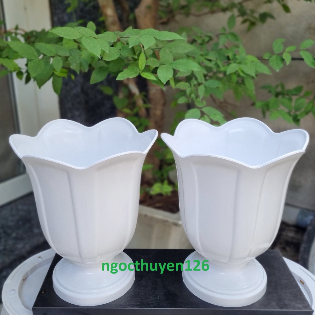 Bộ 02 chậu loa kèn trồng hoa màu trắng nhựa dày đẹp size trung 26x30x17cm