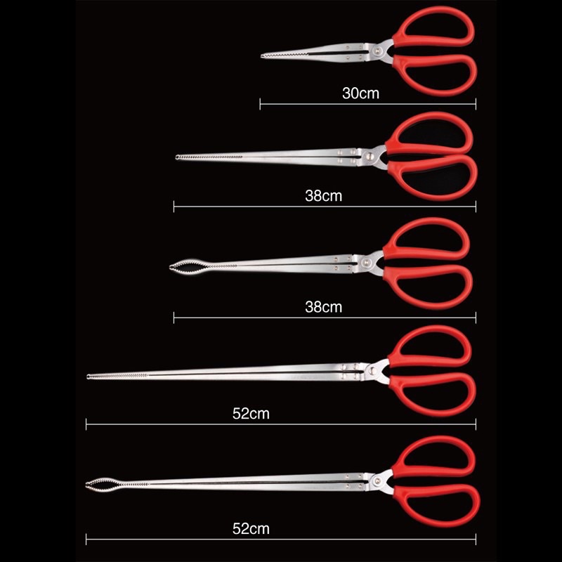 Kẹp lươn kẹp hải sản các loại