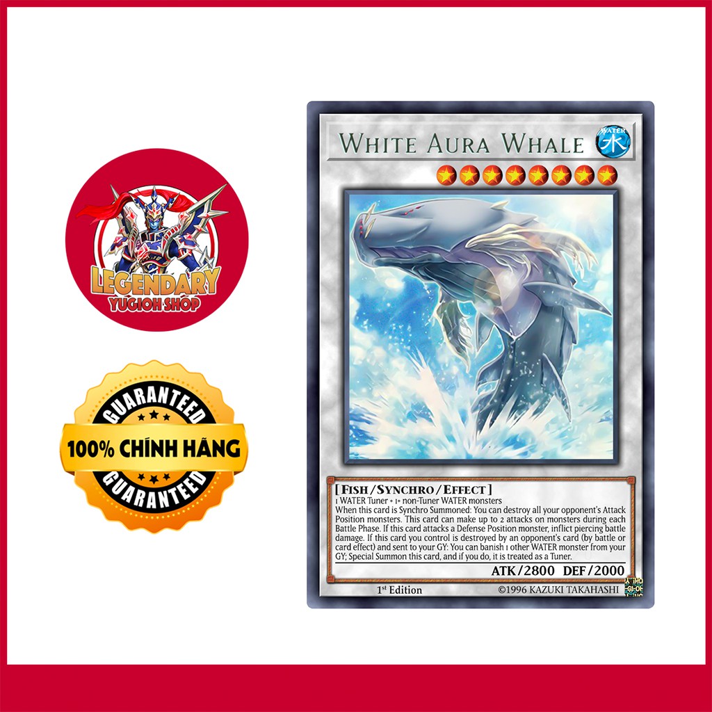 White Aura Whale