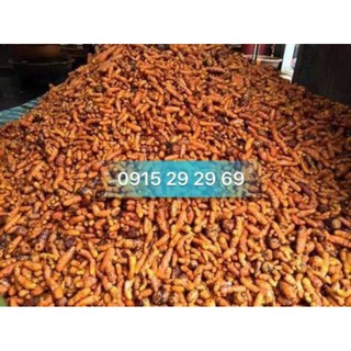 Tinh bột nghệ nếp đỏ gói 100g