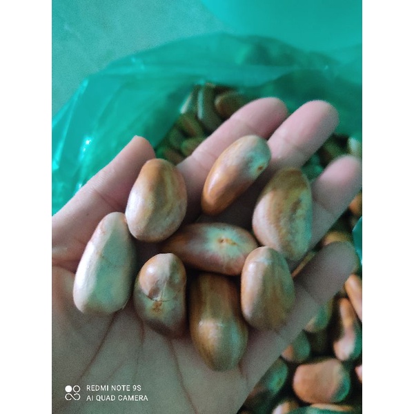 HỘT MÍT LÙI TROmón ngon của vùng quê thời còn bé