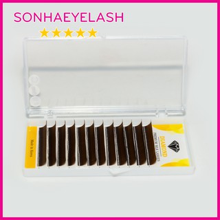 Mi khay nâu tây nhiều size