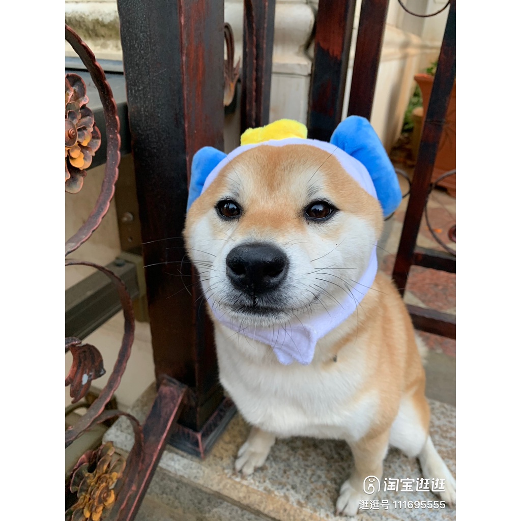 Mũ cho chó mèo dễ thương đủ kích thước từ 1kg tới 15kg