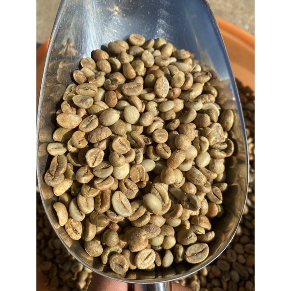 [ combo 2 gói 500gr = 1kg ] cà phê thượng hạng thơm ngon _ cà phê chồn hương ban mê _ cà phê tây nguyên _ dạng pha phin | BigBuy360 - bigbuy360.vn
