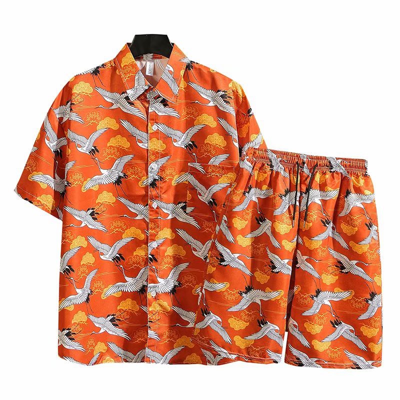 Set of Short Sleeve Flare Printed Shirts And Fashion Pants For Men | BigBuy360 - bigbuy360.vn