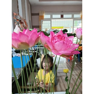KHUÔN SEN BÁCH DIỆP(hoa size hoa thật)