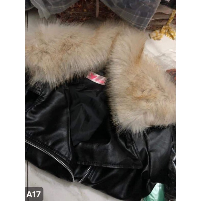 Áo da cổ lông sịn