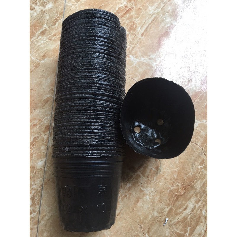 1kg bầu đen 12x10 chỉ 70 nghìn được khoảng 420 chiếc