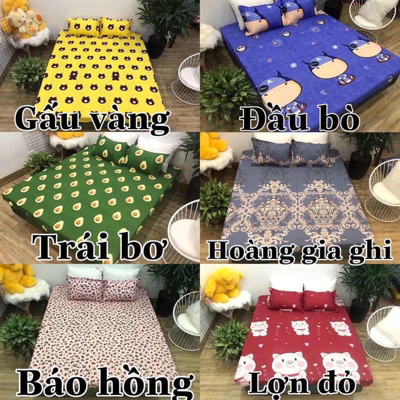 Vỏ gối ôm poly cotton | BigBuy360 - bigbuy360.vn