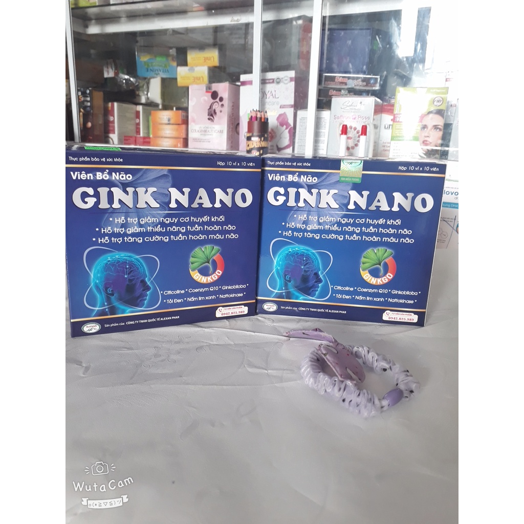 Viên uống bổ não GINK NANO, hỗ trợ hoạt huyết, tăng cường tuần hoàn máu não, giảm đau đầu, hoa mắt, chóng mặt, mất ngủ