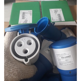Ổ nối di động Schneider IP44 PKF16M423