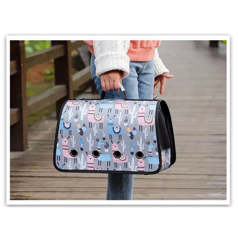 FREESHIP ĐƠN 50K_ Túi vận chuyển thú cưng giá rẻ