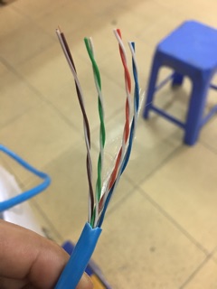Dây mạng cat5 bấm sẵn 10m/20m
