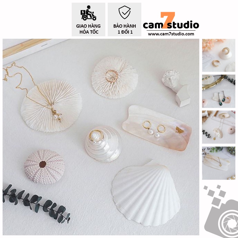 Set Sò, San Hô, Ốc Decor chụp hình sản phẩm, phụ kiện chụp ảnh, chụp ảnh nail, chụp ảnh mỹ phẩm - Cam7Studio.com