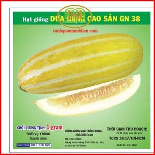 Hạt giống cây dưa gang 1gr và nhiều loại giống rau màu khác đồng giá