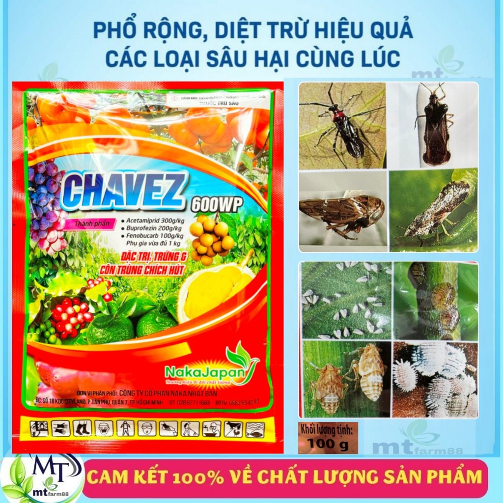 Thuốc Đặc Trị Côn Trùng Chích Hút CHAVEZ 600WP - 100gr - Rầy - Rệp - Bọ lạch - Bọ Xít - Diệt Trứng Và Côn Trùng Nhanh