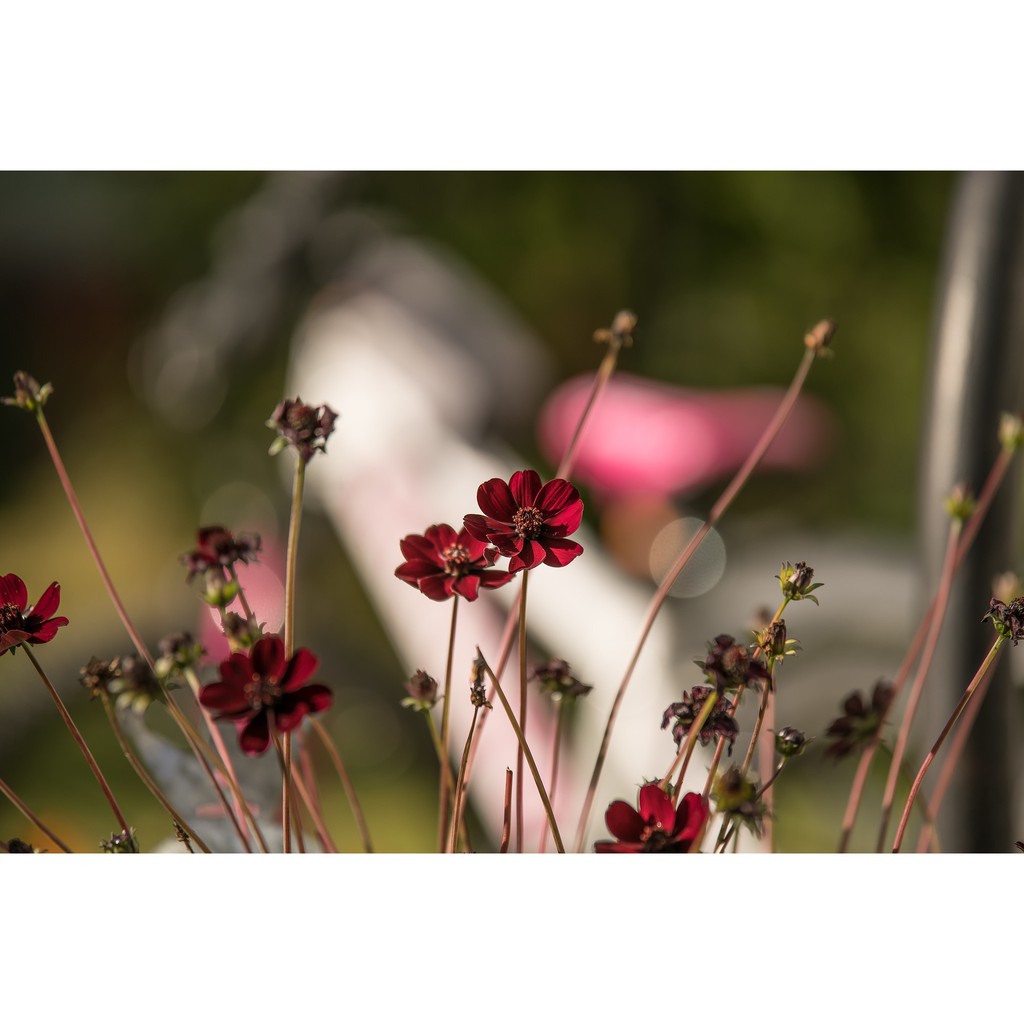 Ống kính máy ảnh Tamron 70-210mm f4.0-5.6 AF Nikon  - 17906