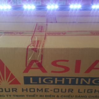 Máng LED đôi liền chao 1,2m Asia ( Không bóng )