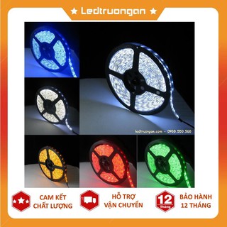 LED DÂY DÁN 5050 - CuỘN 5M