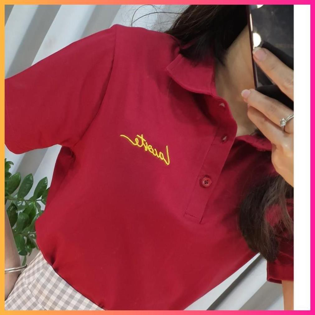 Hè Áo thun POLO Unisex Tay Ngắn thêu LACOSTE -Ảnh thật trải sàn [MoonMy] 🏆