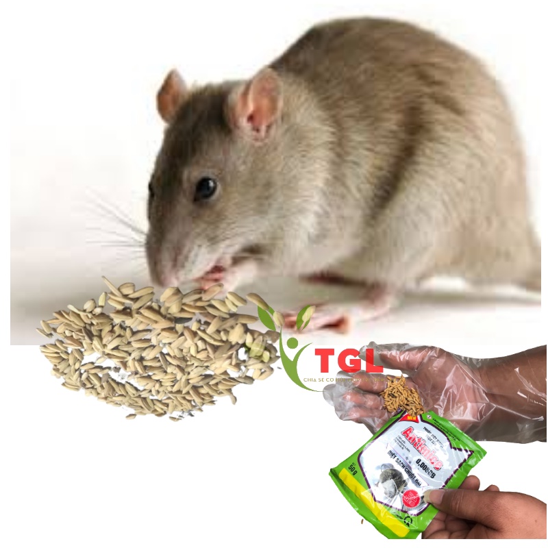 Thuốc Diệt Chuột Sinh Học Antimice 0,006GB, Thuốc Đuổi Chuột An Toàn Cho Người Và Vật Nuôi, Gói 50gr