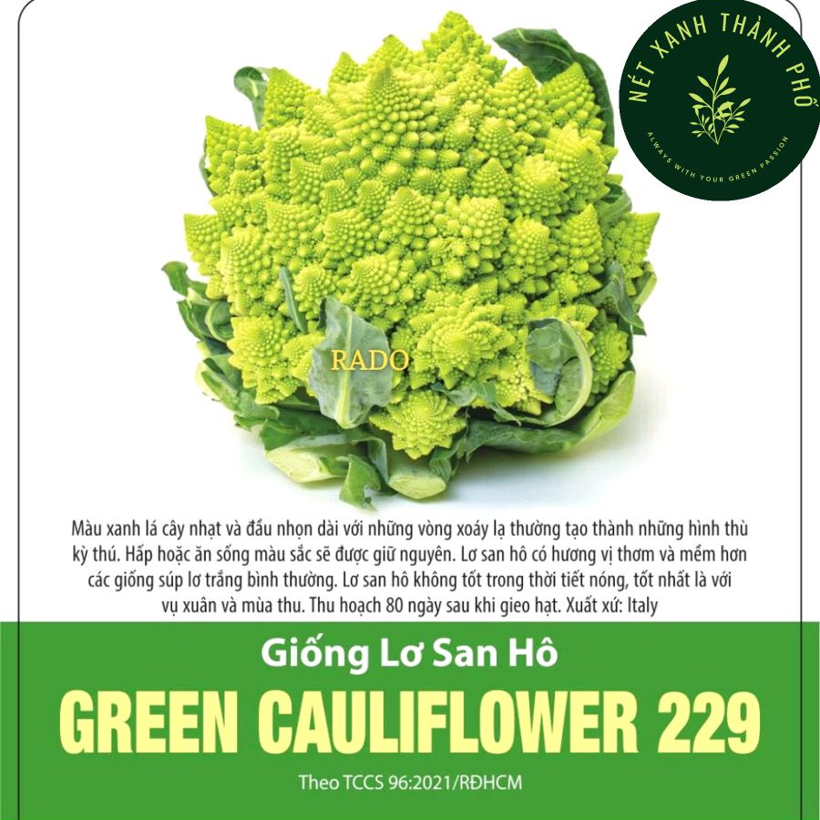 Hạt giống Súp Lơ San Hô