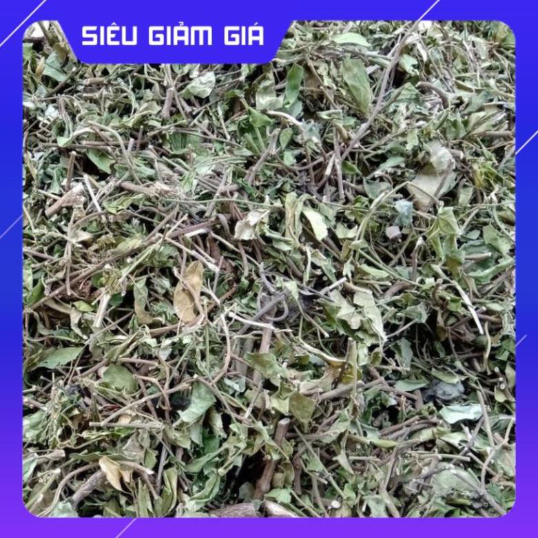 [Nguyên Chất 100%] Dây Thìa Canh Thái Nguyên ( Dây Thìa Canh Lá To )