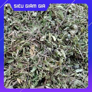 Dây Thìa Canh Thái Nguyên