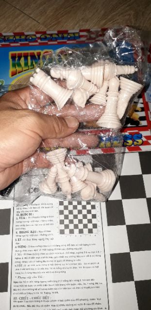 Bộ Trò chơi cờ Vua loại hộp nhựa lớn Trung Thành